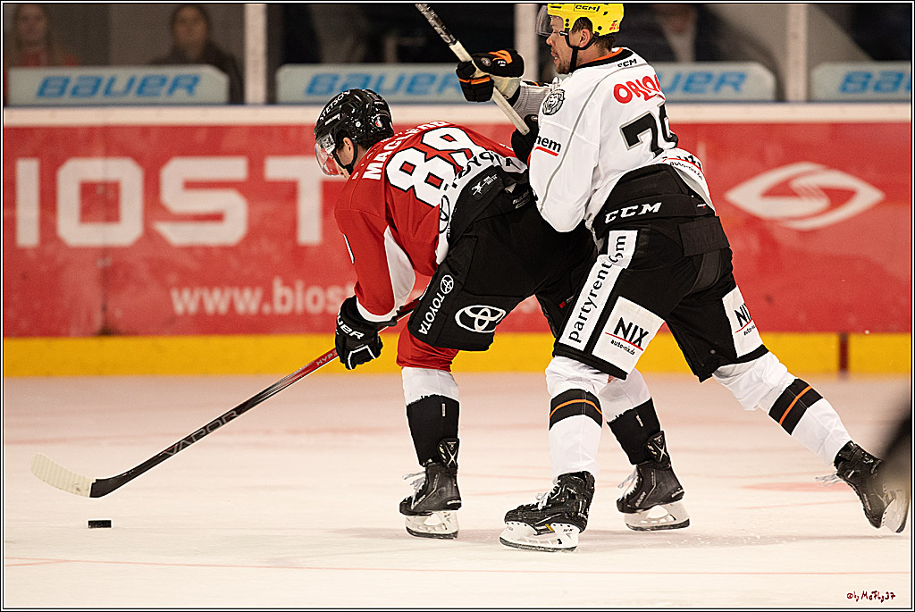 PENNY DEL 1. Testspiel Koelner Haie - Loewen Frankfurt; Koeln, 27.08.2023